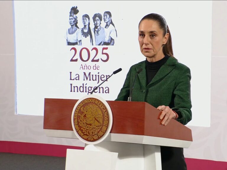 México prepara una estrategia integral de apoyo a migrantes ante aumento de deportaciones en EE. UU. 1 captura de pantalla 30