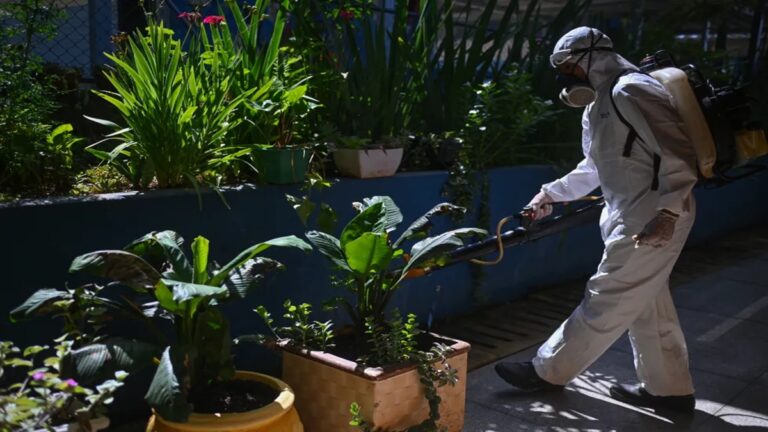 Brasil reporta 15 muertes por dengue en lo que va de 2025 1 dengue efe 1