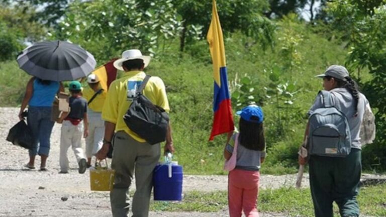 Venezuela recibe a más de 218 desplazados colombianos que huyen del conflicto armado 1 desplazados colombianos