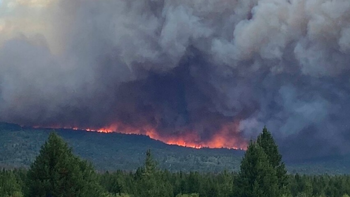 fuego