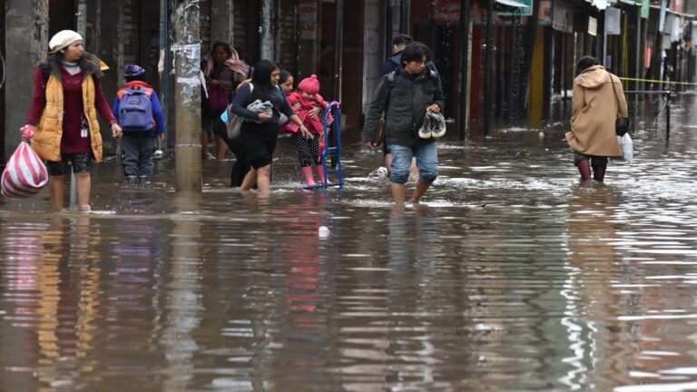Intensas lluvias en Bolivia dejan más de 50 mil familias afectadas 1 lluvias bolivia 4 1