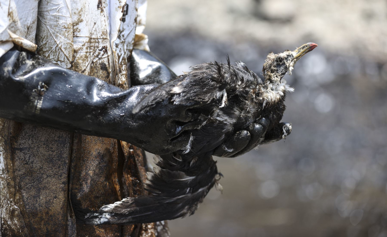 Continúa contaminación en el mar de Perú por derrame de Repsol 3 peru repsol01