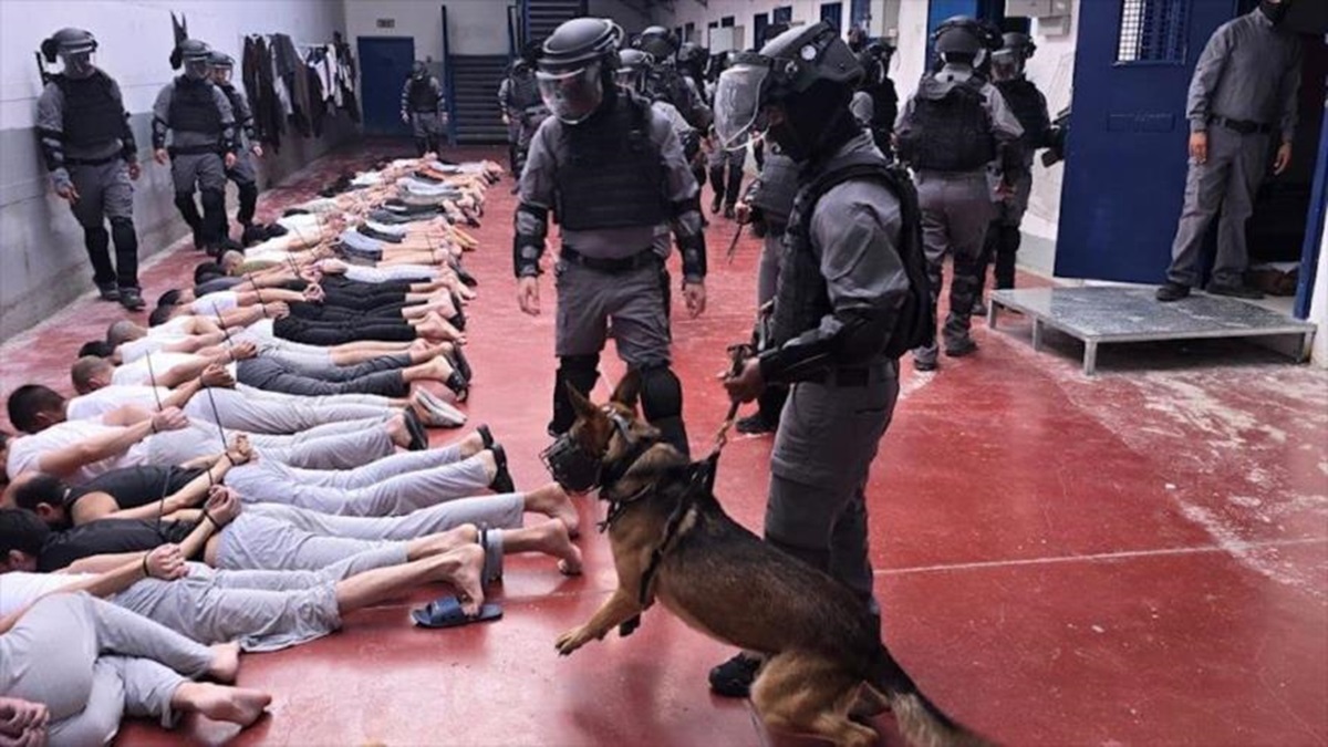 Más de 50 palestinos secuestrados han muerto en cárceles israelíes desde el 7 de octubre de 2023 8 secuestrados palestinos