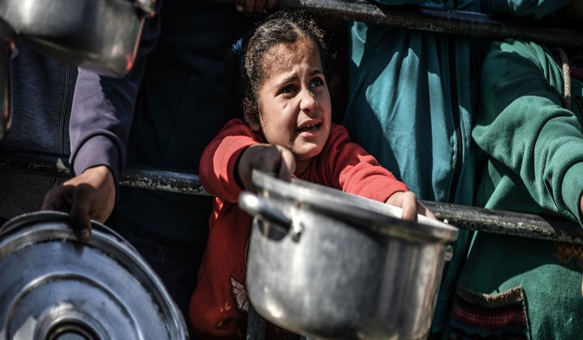OCHA alerta sobre la crisis de hambre en Gaza 6 un news 2