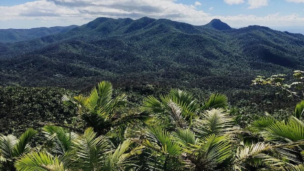 0 el yunque de luquillo puerto rico