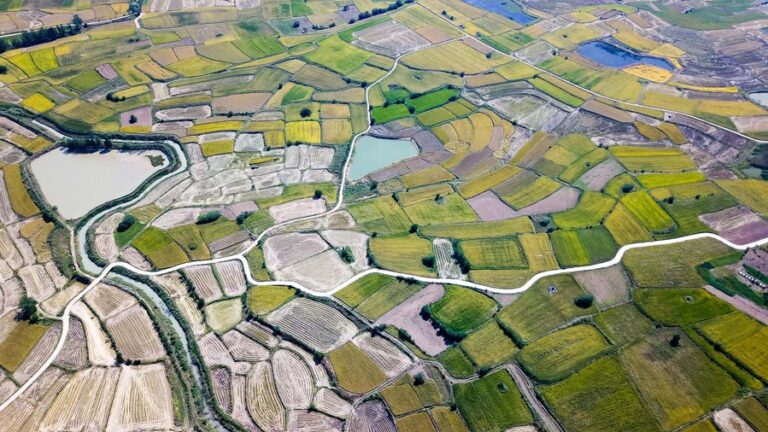 China enuncia claves para profundizar reforma agraria en marcha 1 2023122216995a34dc794cd0903d32e1ad6448e3 xxjwshe007097 20231222 cbmfn0a005