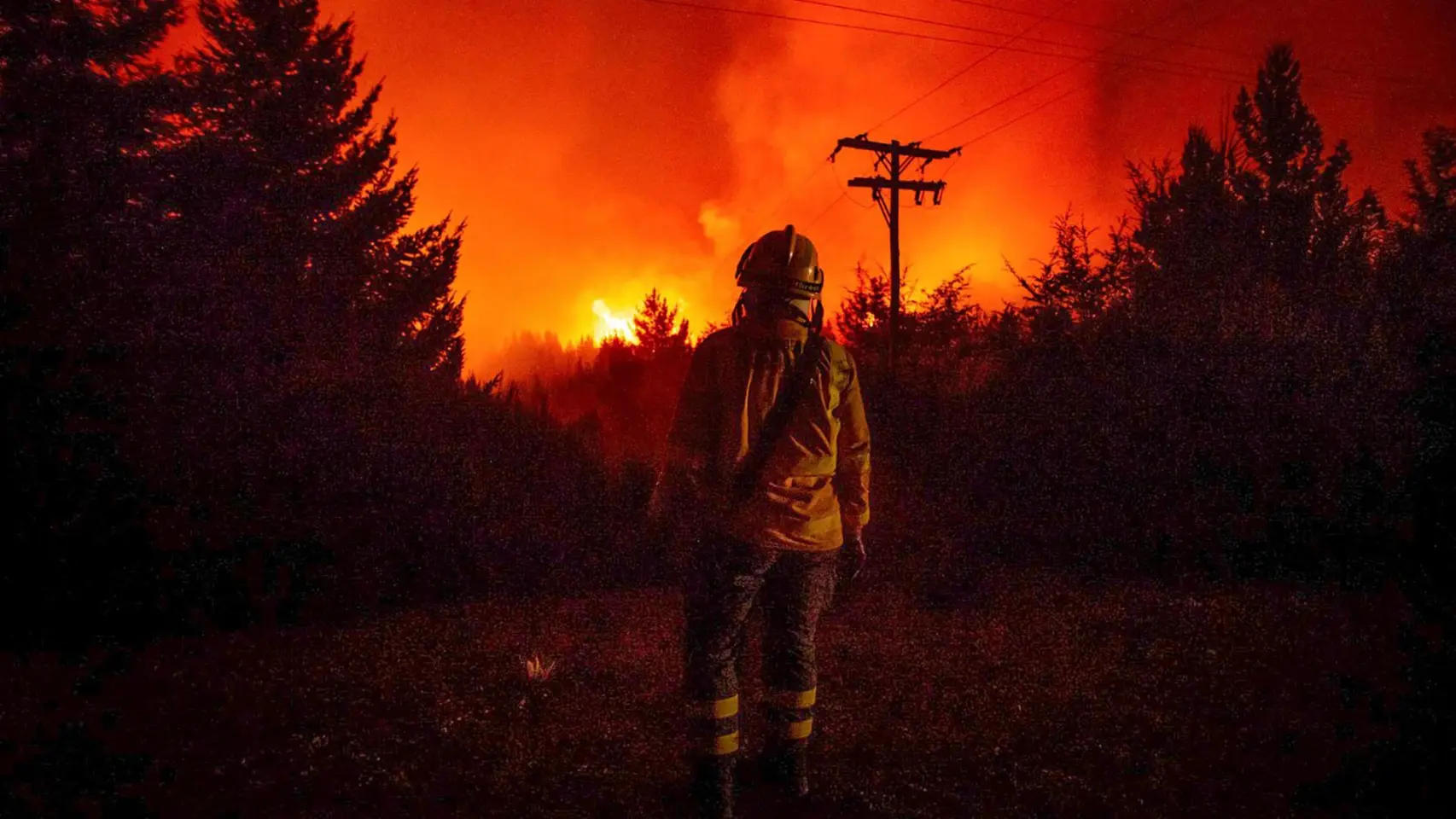 Incendios forestales arrasan más de 40.000 hectáreas de la Patagonia argentina 3 925167778 253216619 1706x960 1