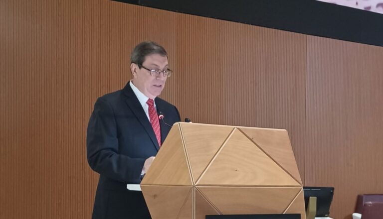 Cuba exige que ONU actúe sin manipulaciones ni dobles raseros 1 bruni