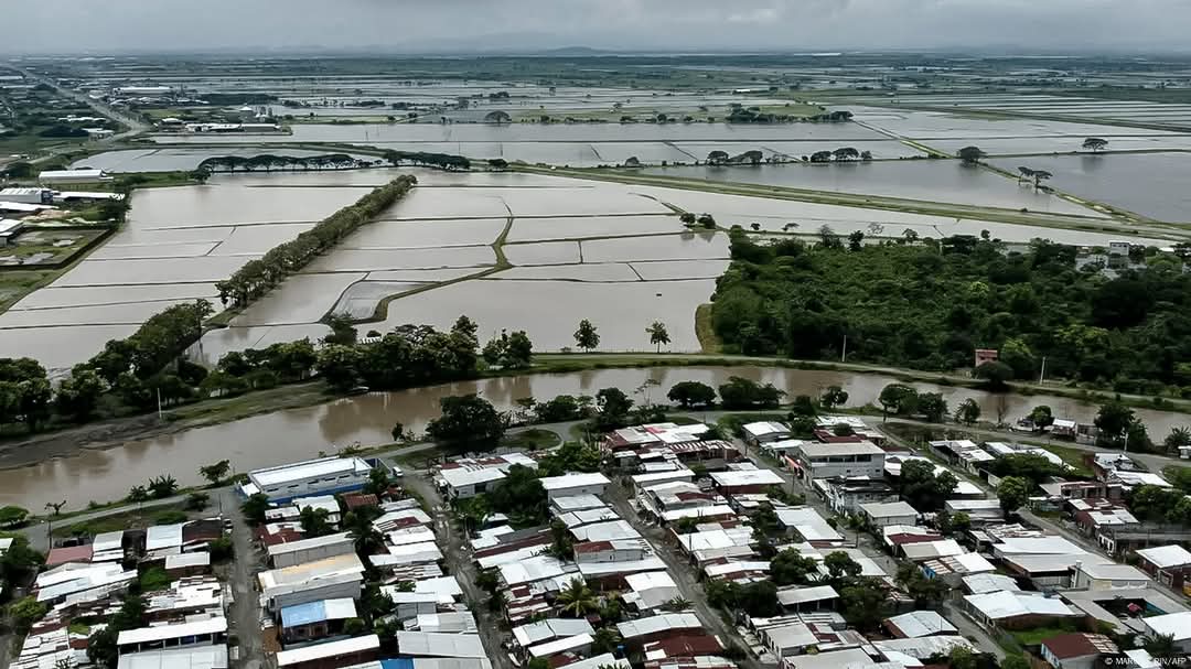 Crisis climática en Ecuador: el Gobierno responde tarde a desastres agrícolas y humanos 7 ecuador inundaciones generales