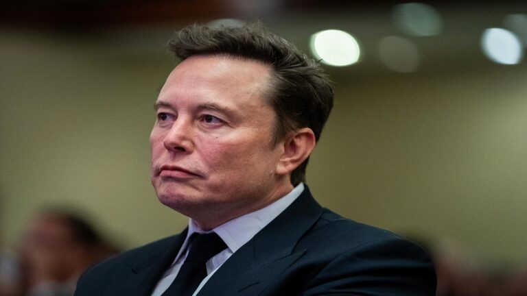 elon musk efe 1