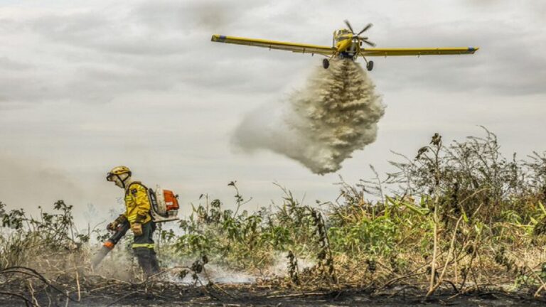 Gobierno de Brasil establece emergencia ambiental preventiva por incendios 1 fuego brasil