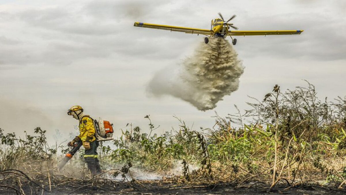 Gobierno de Brasil establece emergencia ambiental preventiva por incendios 2 fuego brasil