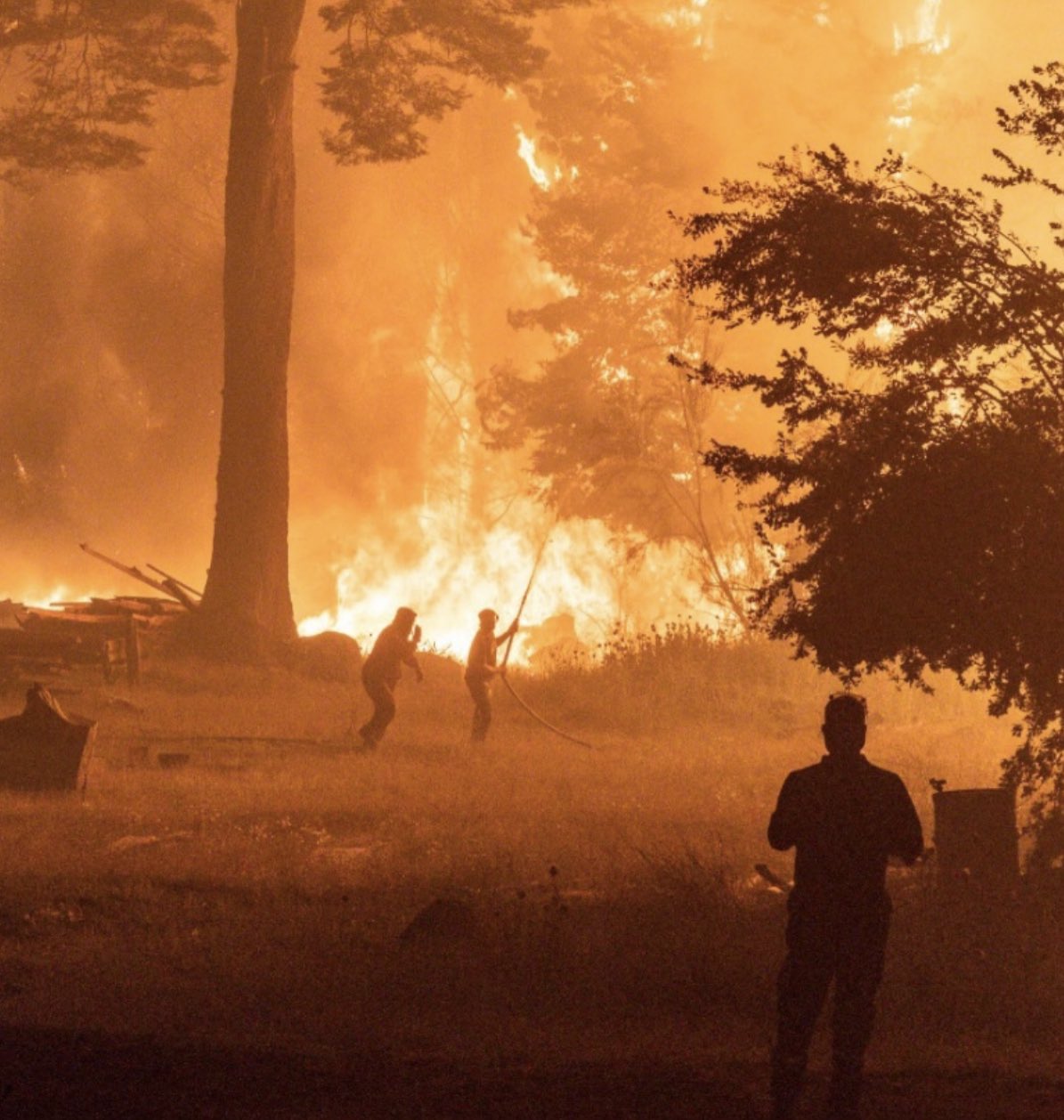 Patagonia argentina: Incendios forestales destruyen más de 25.000 hectáreas 7 gjrtmg3wqaa3onh
