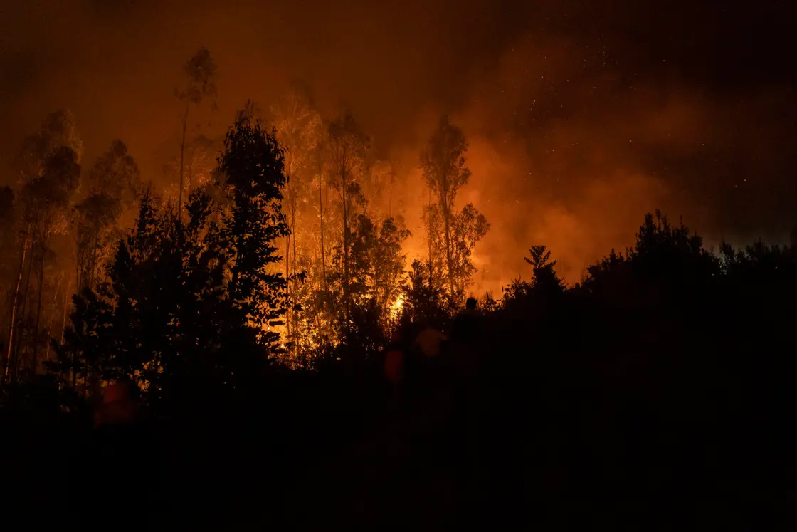 Dirigentes Mapuche rechazan declaraciones del Gobierno de Chile sobre intencionalidad de incendios 9 incemdios chile