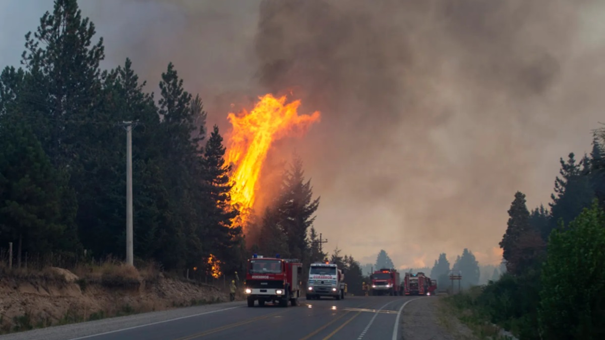 Incendios forestales arrasan con 40.000 hectáreas de la Patagonia argentina 10 incendio argentina 2