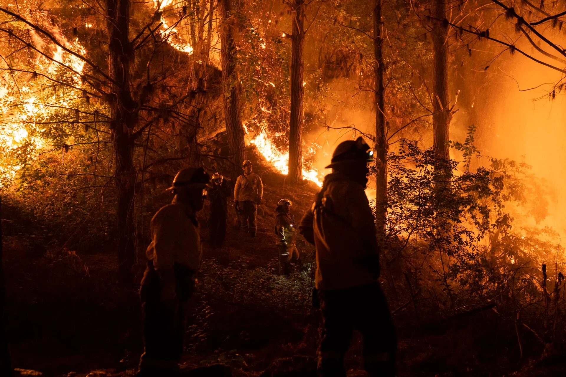 Chile: Estado de emergencia por incendios forestales en zona centro sur del país 3 rss efe6cf26b283c1e4c6a391836028eb6a4305ebdac07w