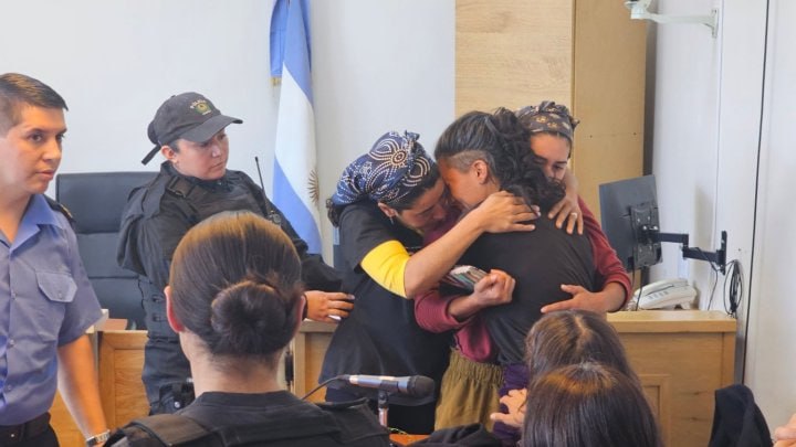 Gobierno de Milei utiliza crisis climática para justificar la persecución del pueblo mapuche 6 whatsapp image 2025 02 28 at 17 11 20