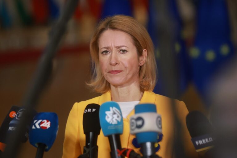 La UE afirma que el "mundo libre" necesita un nuevo líder tras reunión entre Trump y Zelenski 1 a63805a4ae6656bfcb8ddf8663fe285a47dedbebw