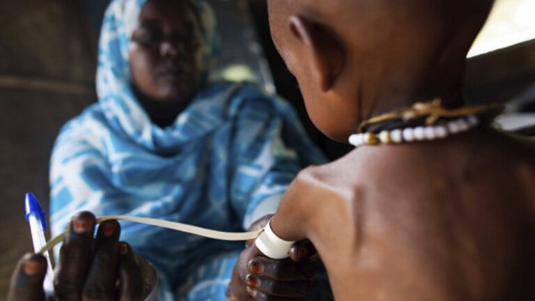 Agencia de la ONU advierte sobre crisis alimentaria en África 1 africa
