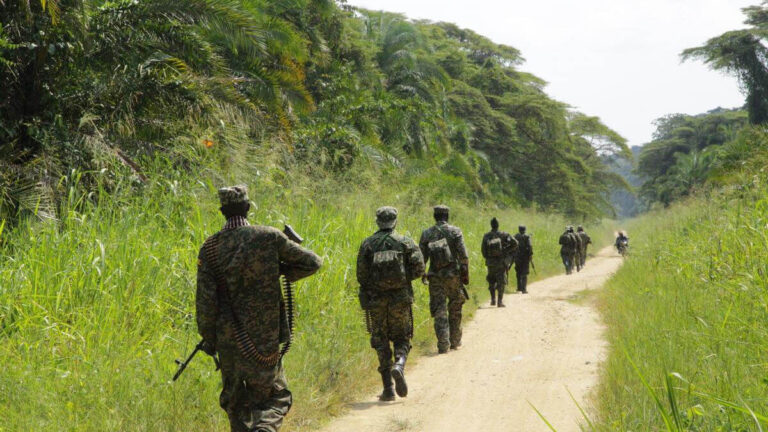 Masacre en Ituri: 23 civiles asesinados por terroristas armados al este de RD del Congo 1 congo m23