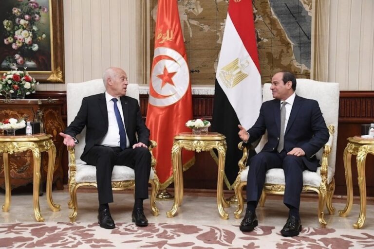 Egipto y Túnez repudian desplazamiento de palestinos 1 glwgnegxiaanftr