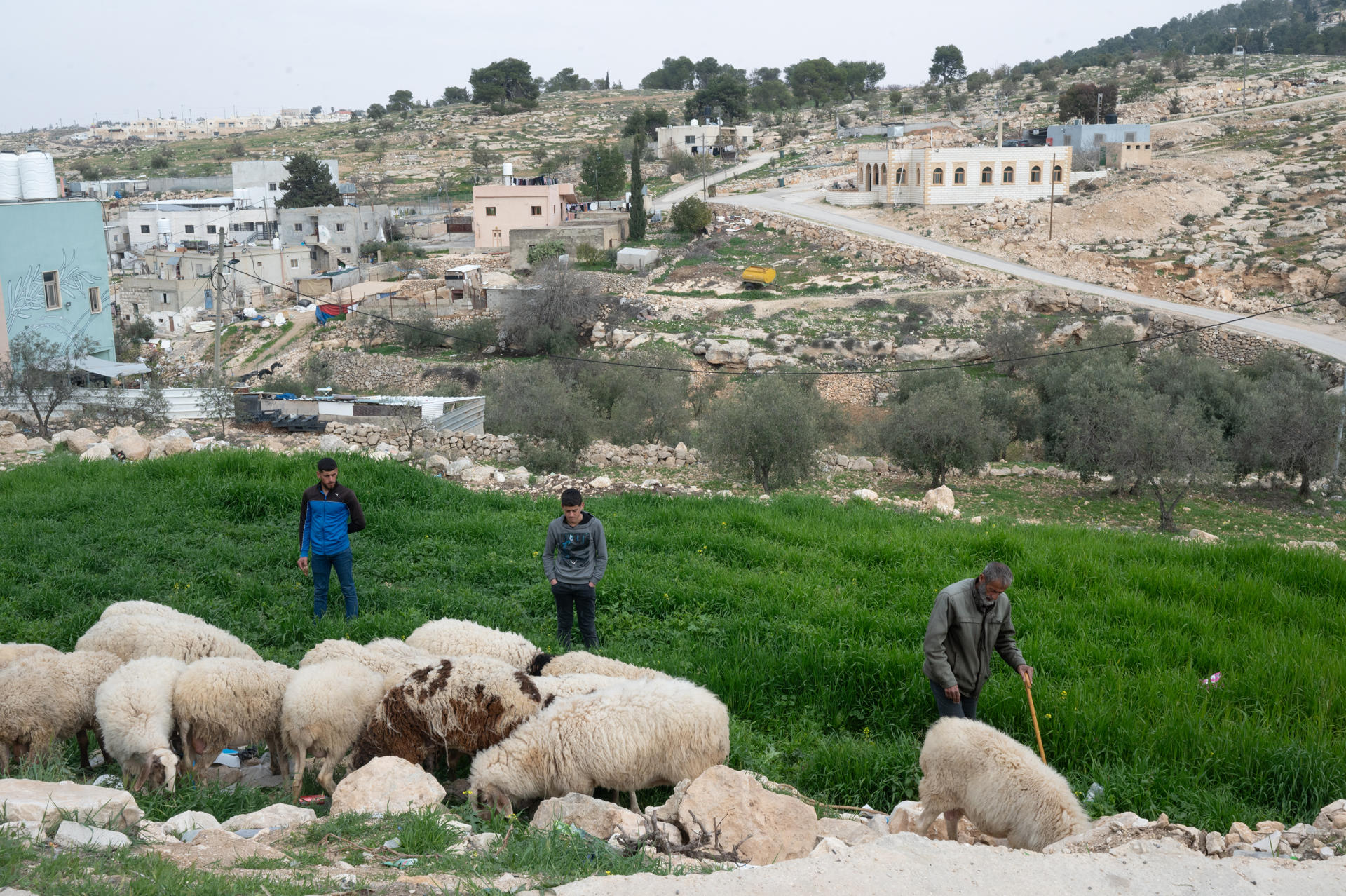 masafer yatta cisjordania ocupada