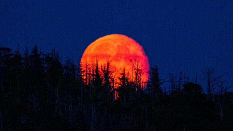 Próximo avistamiento de Luna de Sangre 1 nationalgeographic2351999 1