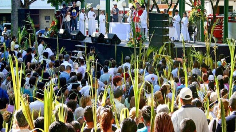Domingo de Ramos 1 0 palmas para bendecir
