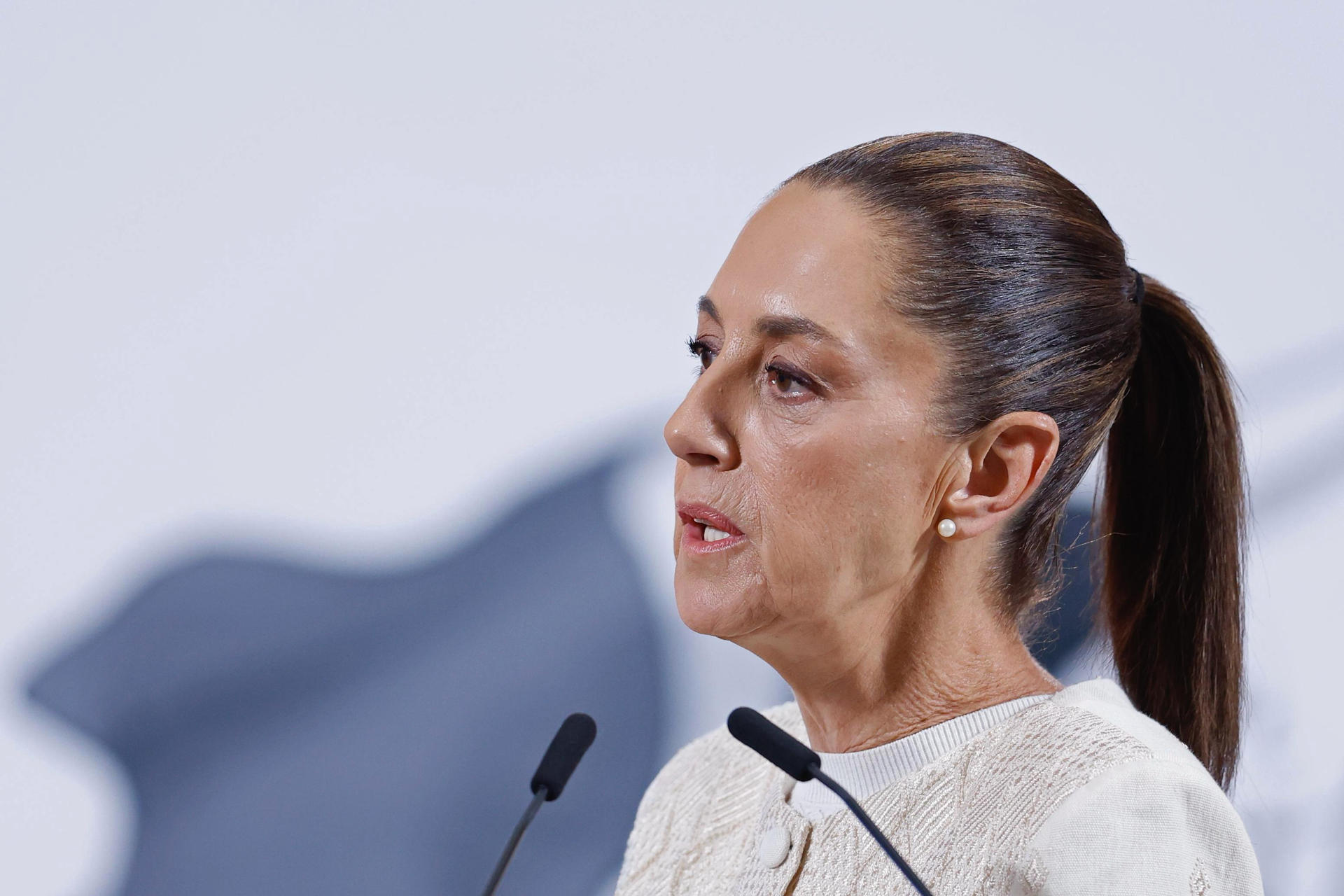 Sheinbaum: México no tendrá relaciones con Ecuador mientras "Noboa ejerza el cargo de presidente" 7 19c47b1befa05fe07114c108b7ec15ab2cfc8556w