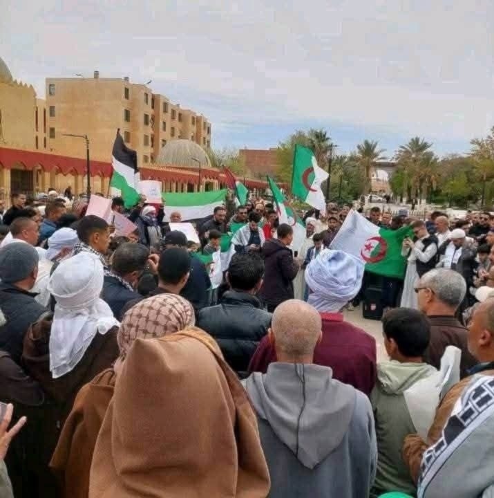 argelia protesta gaza al mayadeen
