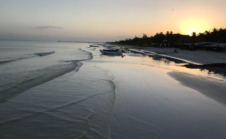 blog holbox01