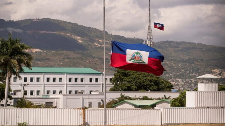Organizaciones exigen a Francia reconocer y reparar la deuda de la independencia de Haití 1 haiti 7
