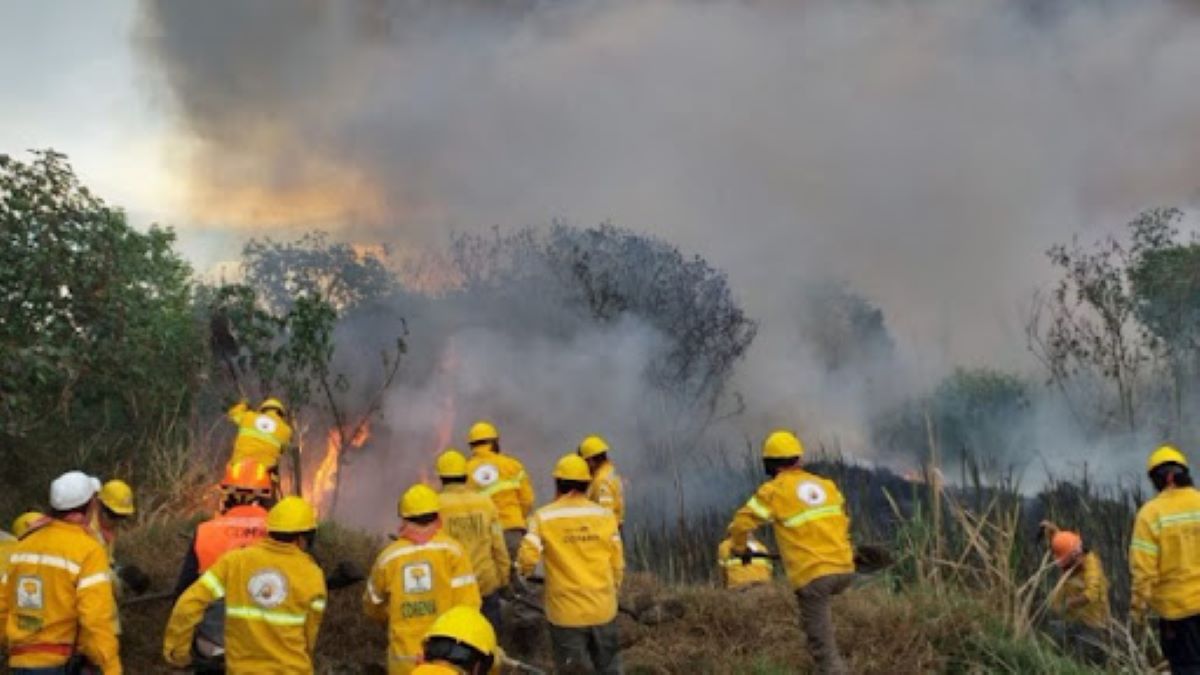 Incendios activos en México afectan a 23 estados 2 incendios