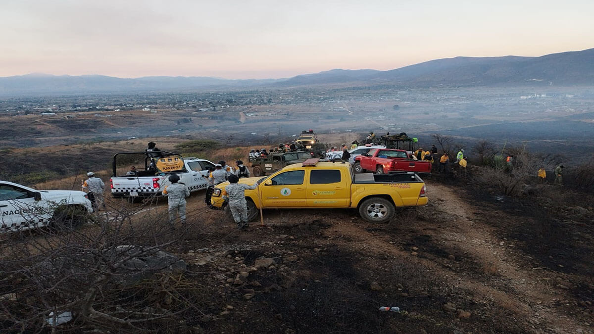 México registra 123 incendios forestales activos con más de 50 mil hectáreas afectadas 1 mexico incendios 1