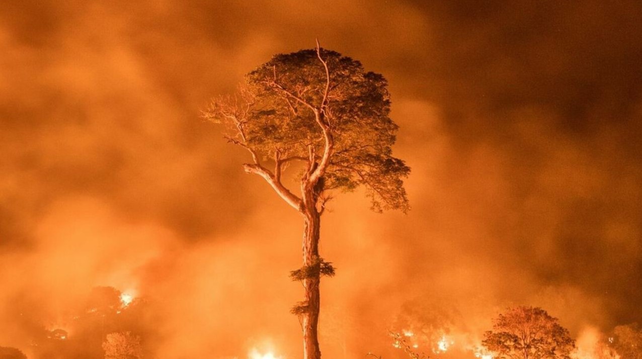 Disminuyen focos de incendios en la Amazonía brasileña 3 nationalgeographic 2724573