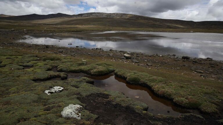 Los agricultores peruanos exigen ayuda ante las fuertes lluvias y abandono estatal 1 peru