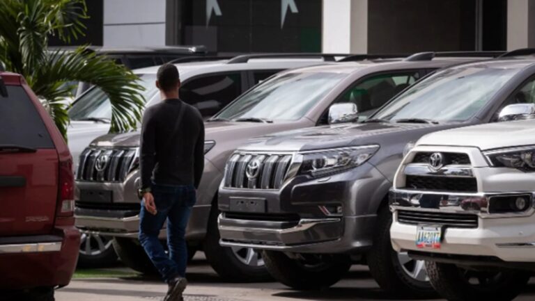 sector automotriz efe