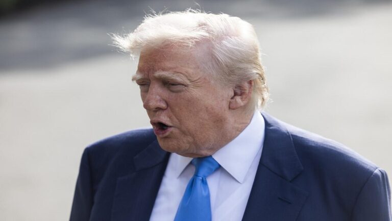 trump 7