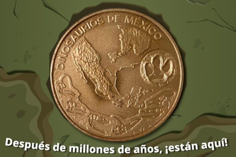 Presentan medallas de dinosaurios que habitaron territorio mexicano 1 whatsapp image 2025 04 29 at 6 32 17 am