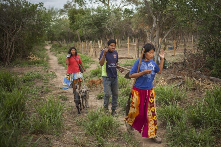 Comunidad indígena Karãpa de Paraguay sufrió violento atropello 1 paraguay ayoreo